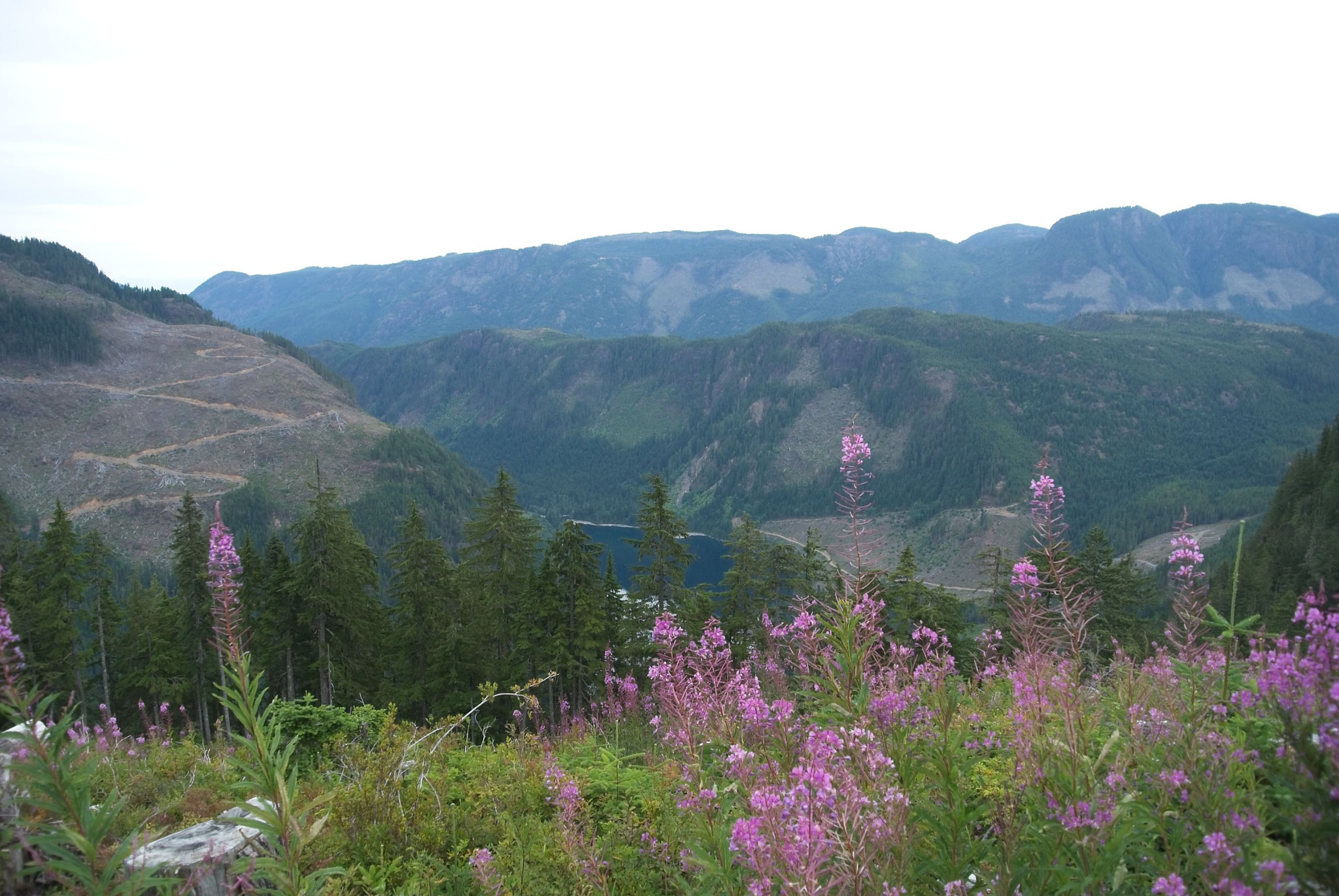 Web-20120826-DSC_3877.jpg