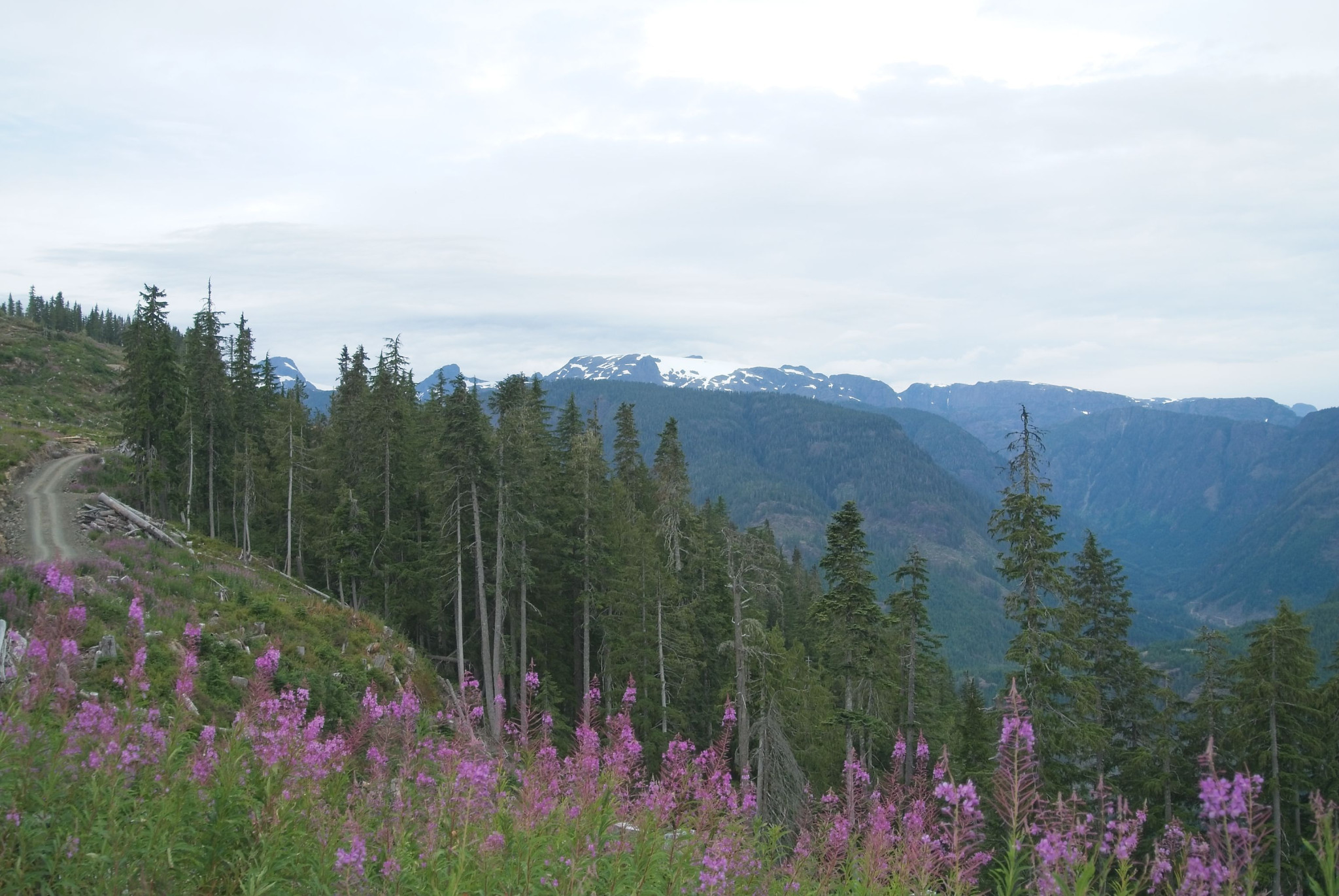 Web-20120826-DSC_3881.jpg