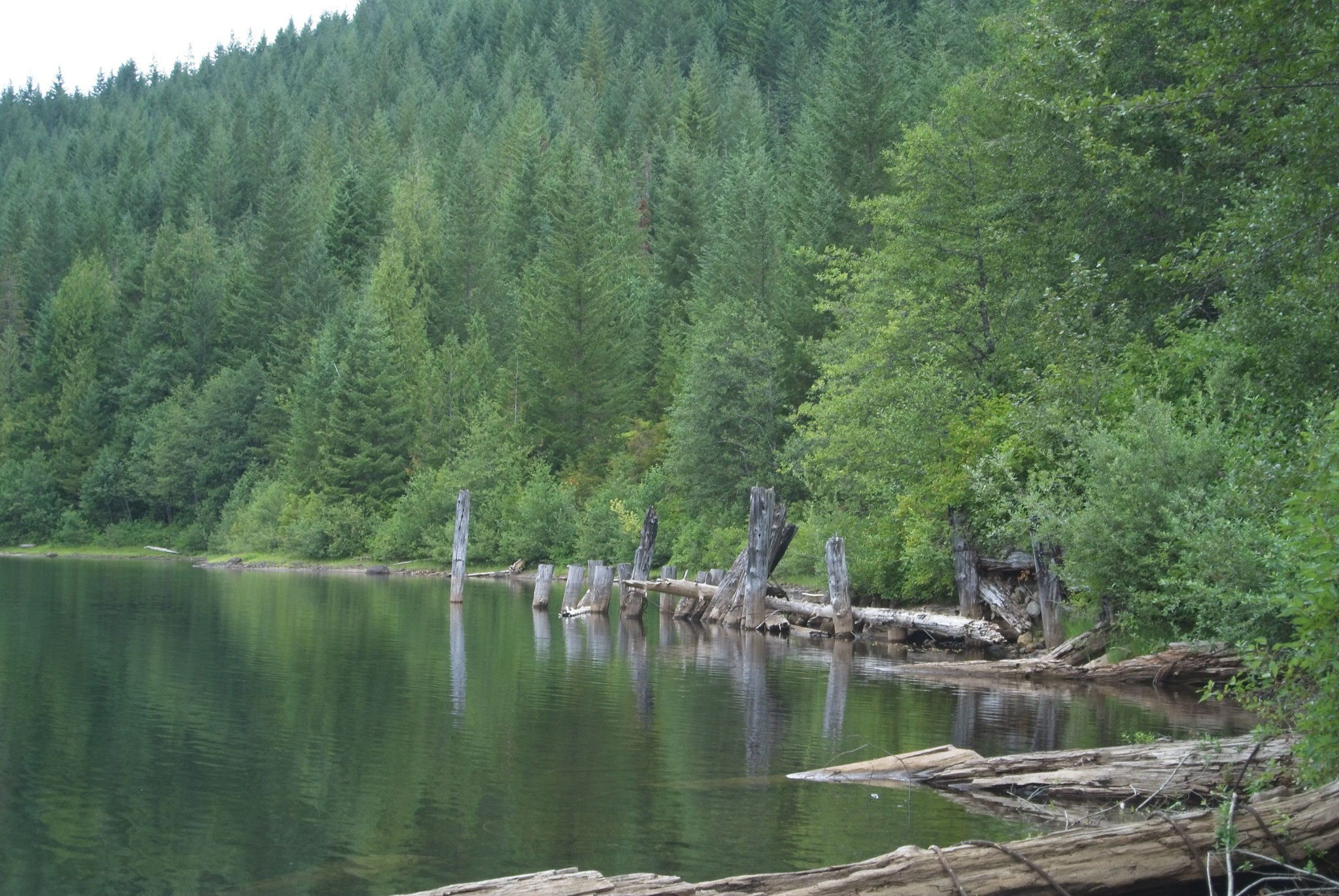 Web-20120826-DSC_3889.jpg