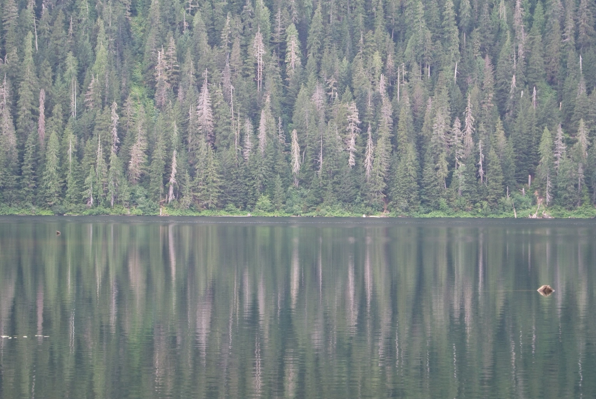 Web-20120826-DSC_3893.jpg