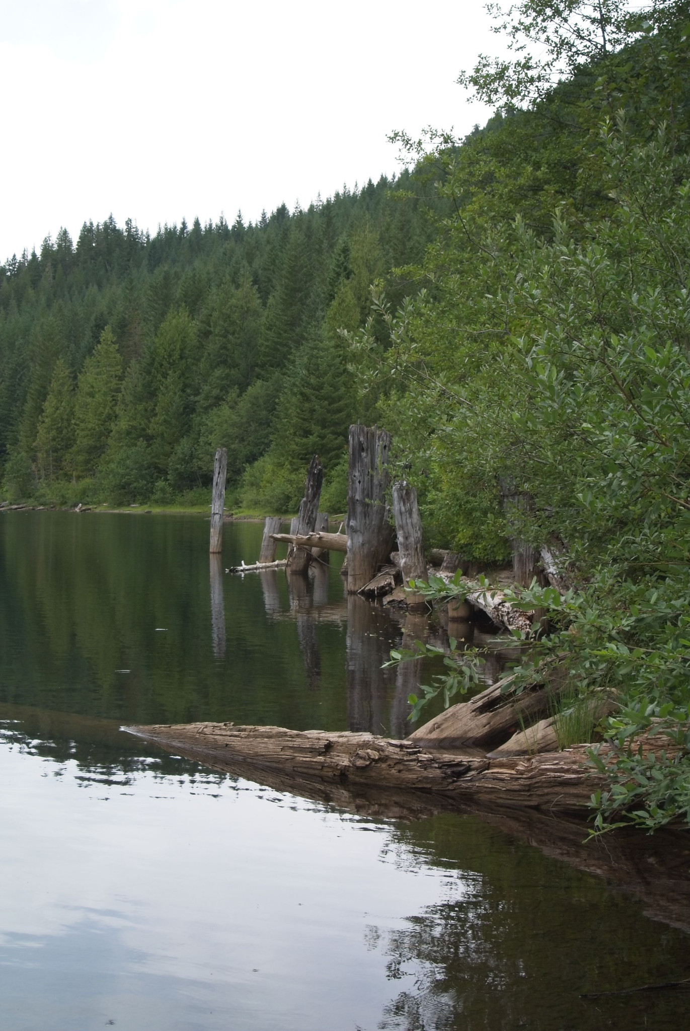 Web-20120826-DSC_3898.jpg