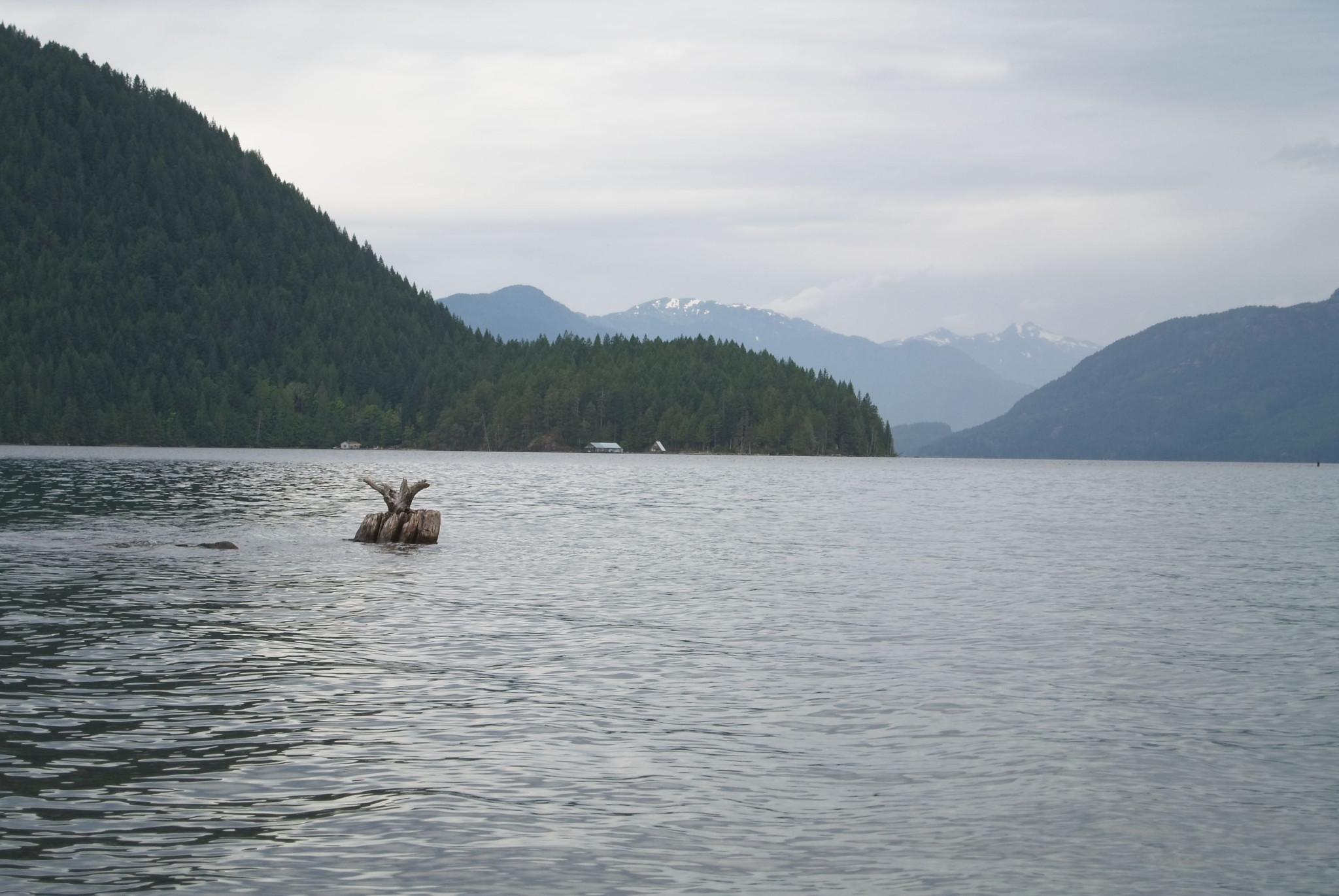 Web-20120826-DSC_3932.jpg