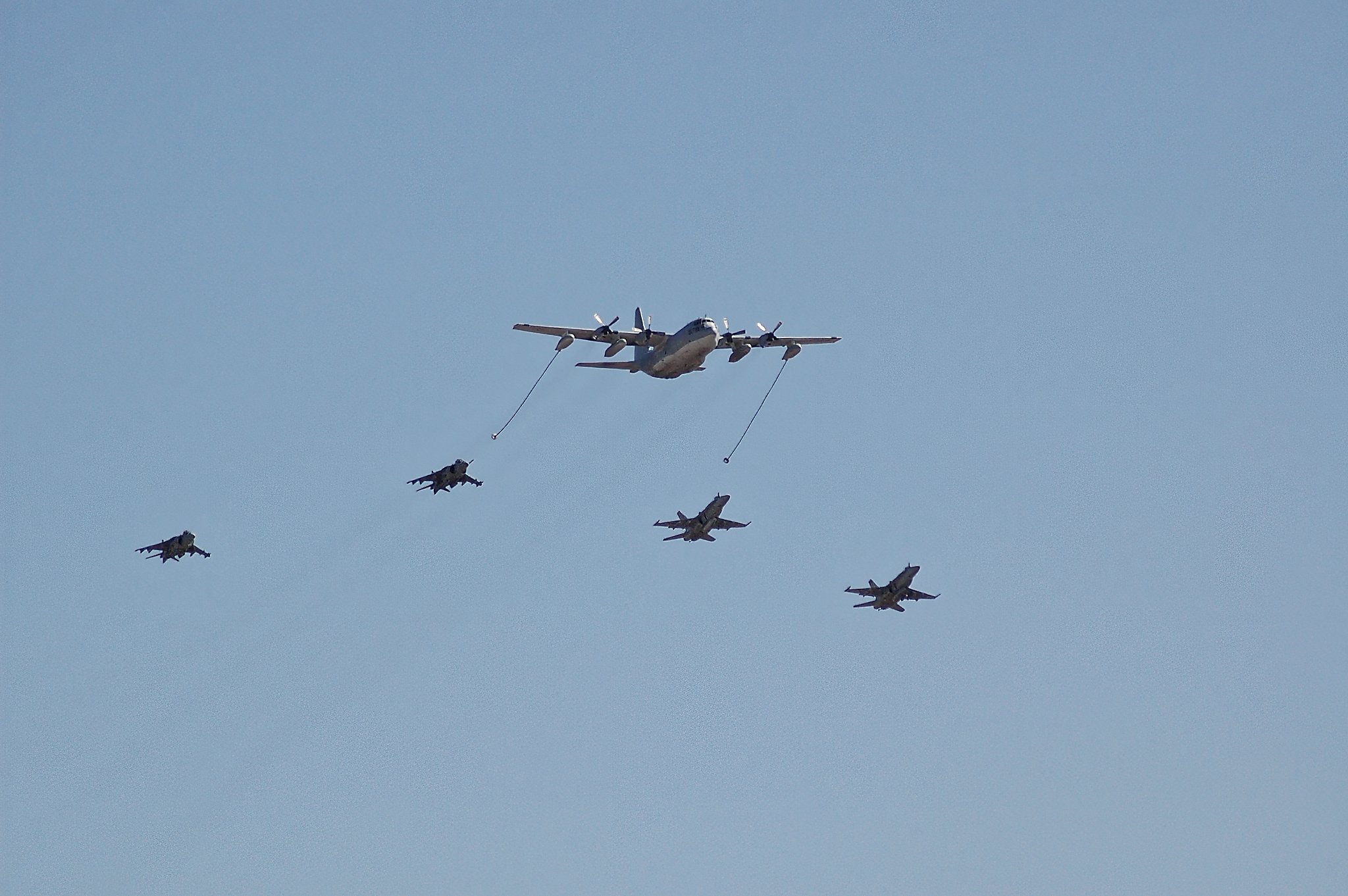 DSC_4184v1.jpg_Export.jpg