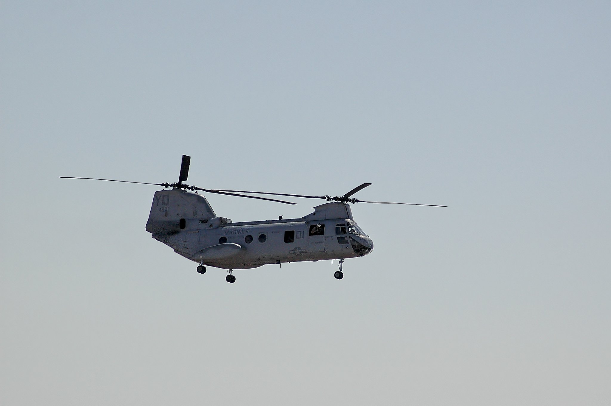 DSC_4209v1.jpg_Export.jpg