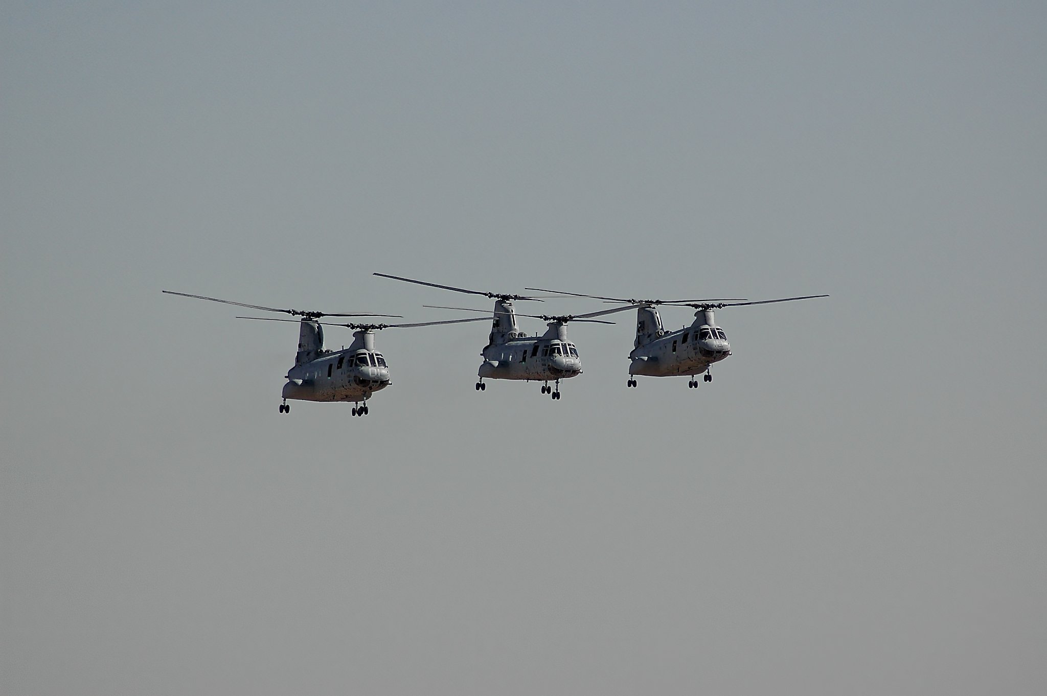 DSC_4232v1.jpg_Export.jpg