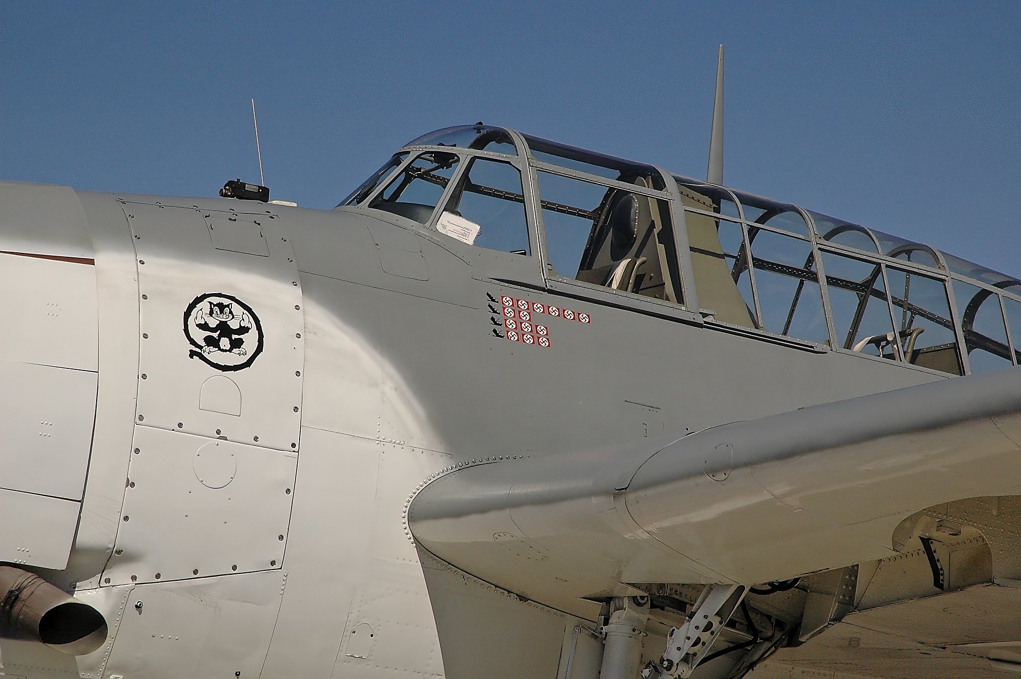 DSC_4281v1.jpg_Export.jpg