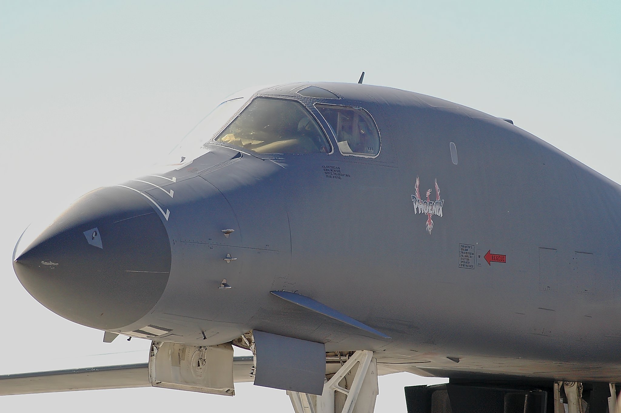 DSC_4377v1.jpg_Export.jpg