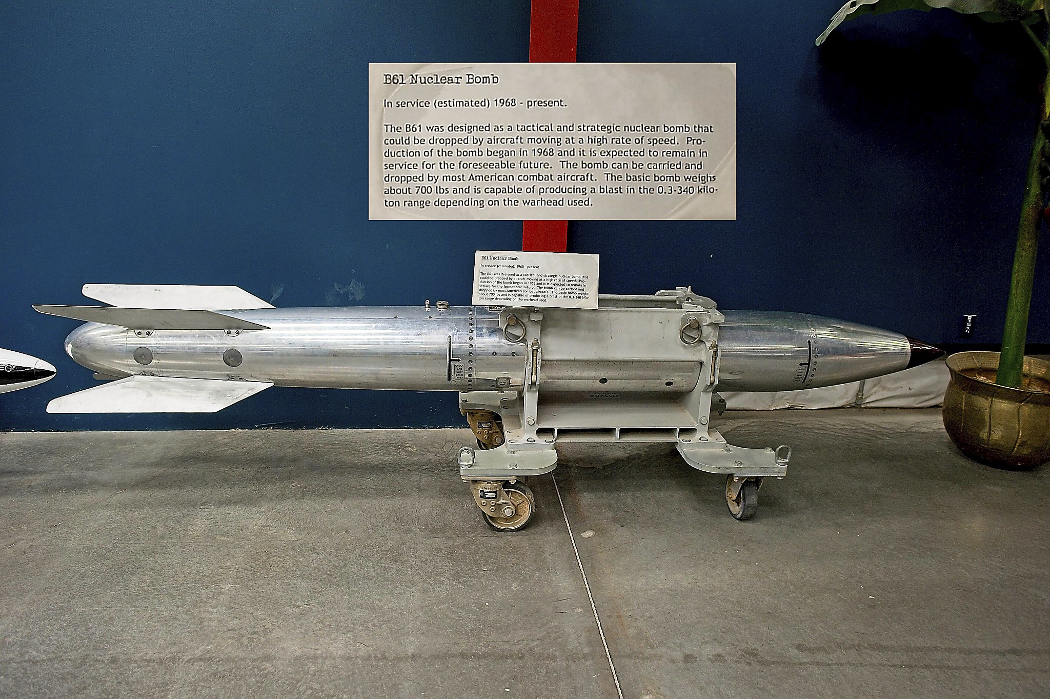 B61_Export-1_Export.jpg