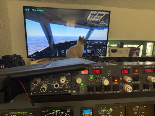 Flight Simulator