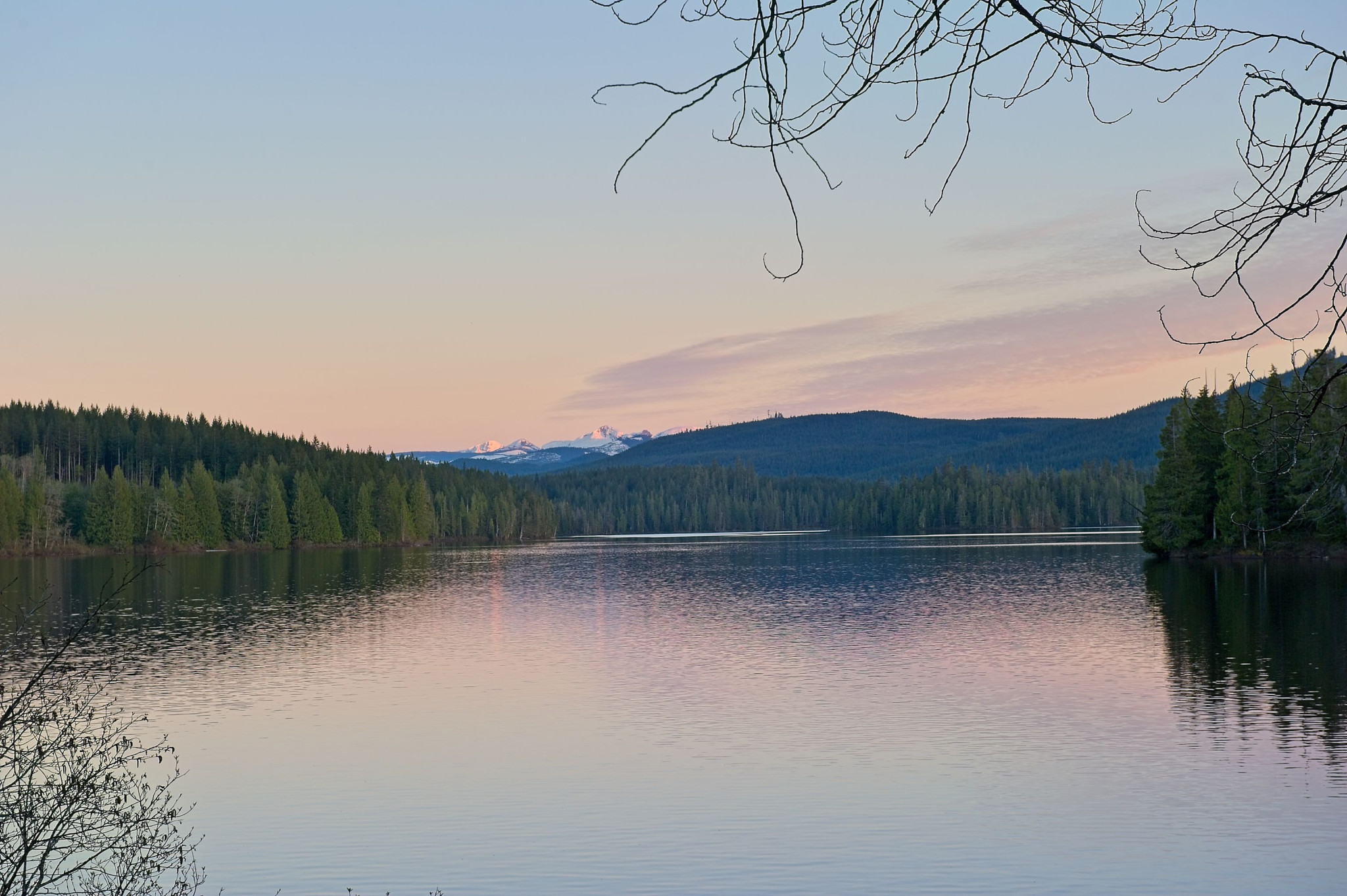Web-20110519-DSC_0853.jpg