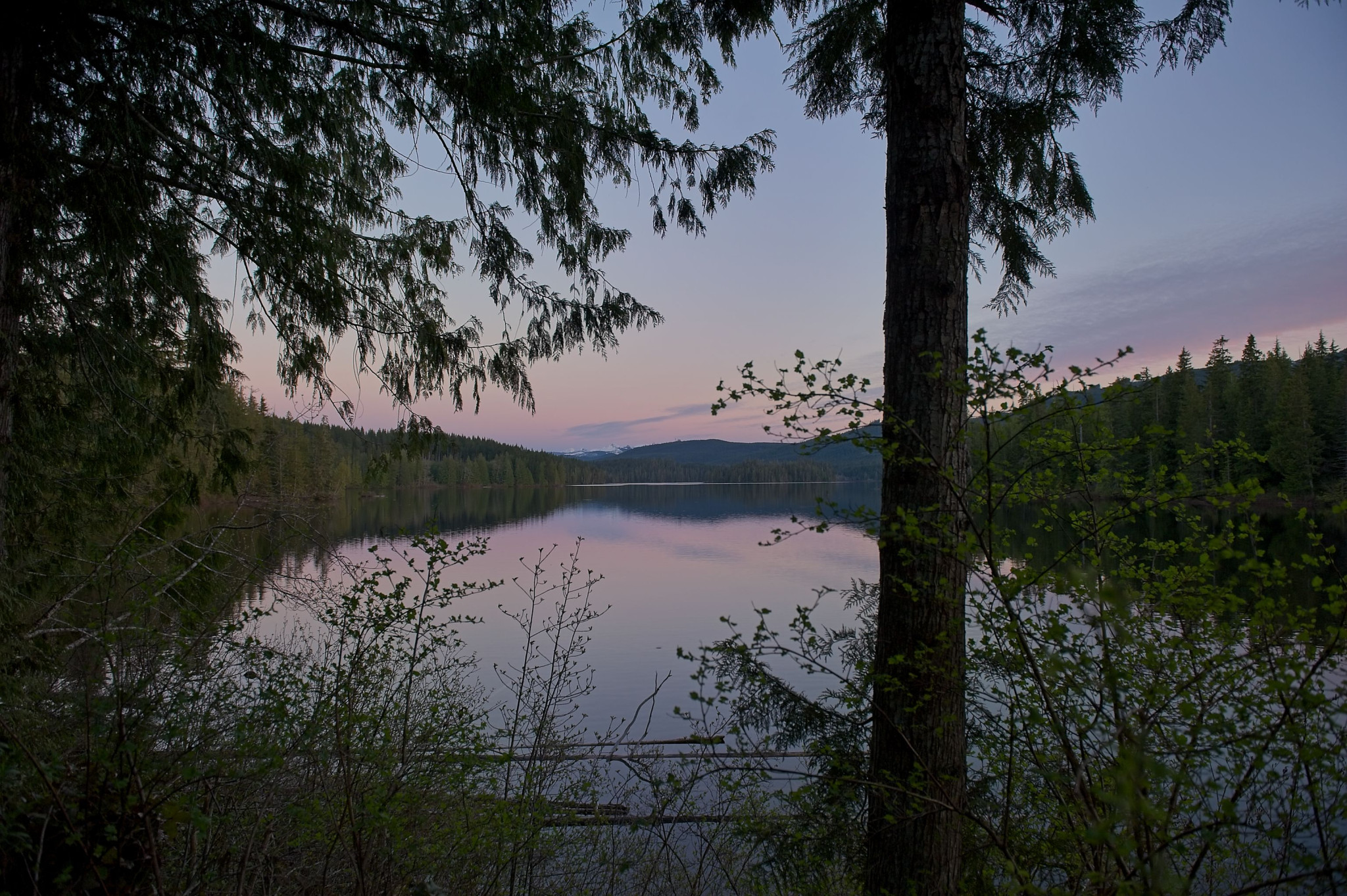 Web-20110519-DSC_0863.jpg