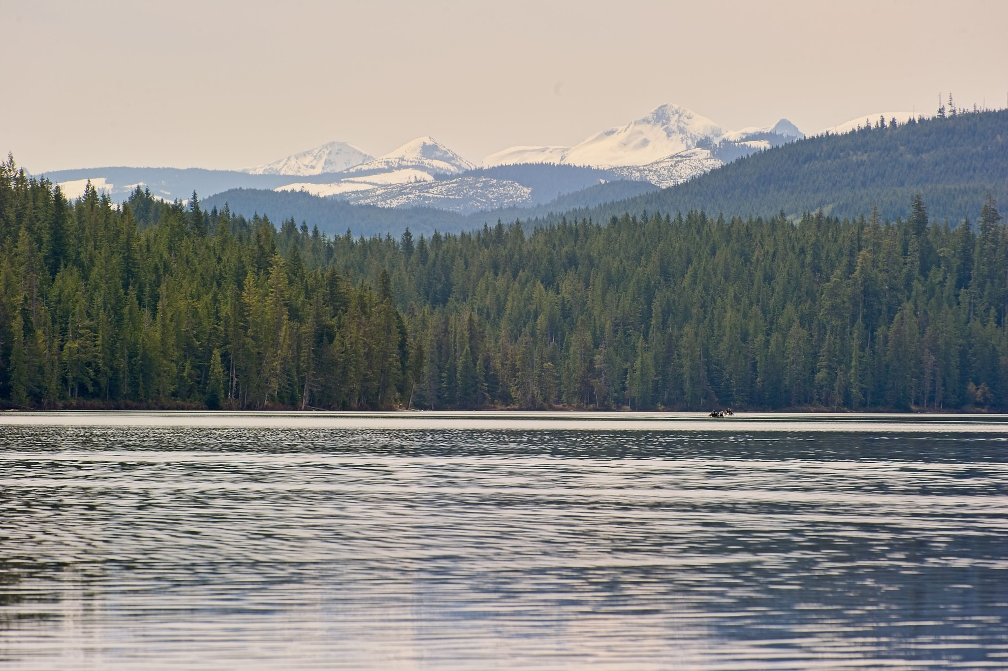 Web-20110520-DSC_0876.jpg
