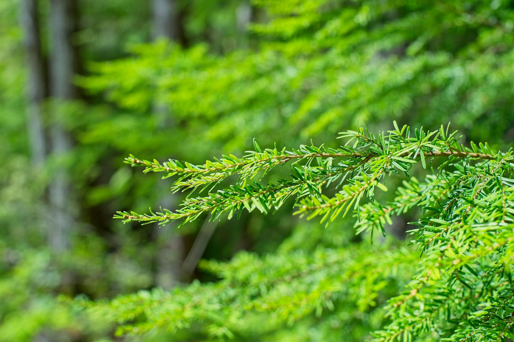 Web-20110520-DSC_1029.jpg
