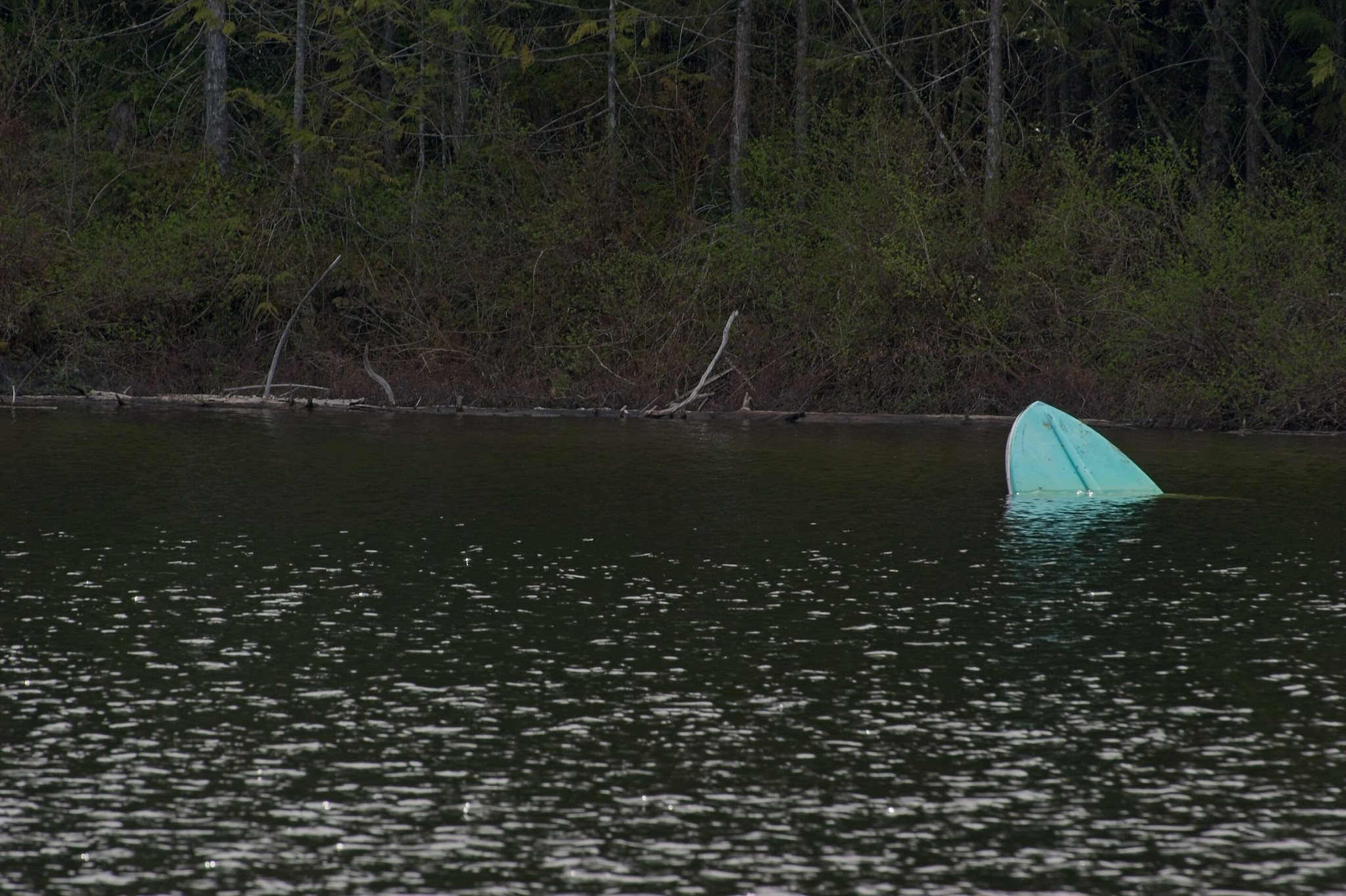 Web-20110520-DSC_1044.jpg