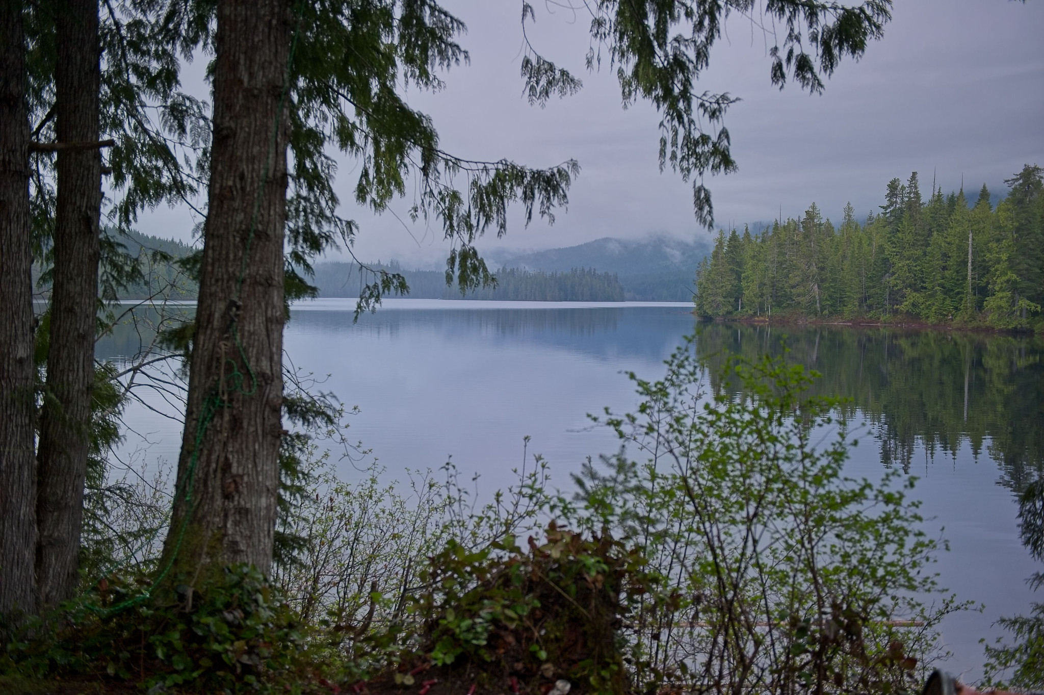 Web-20110521-DSC_1188.jpg