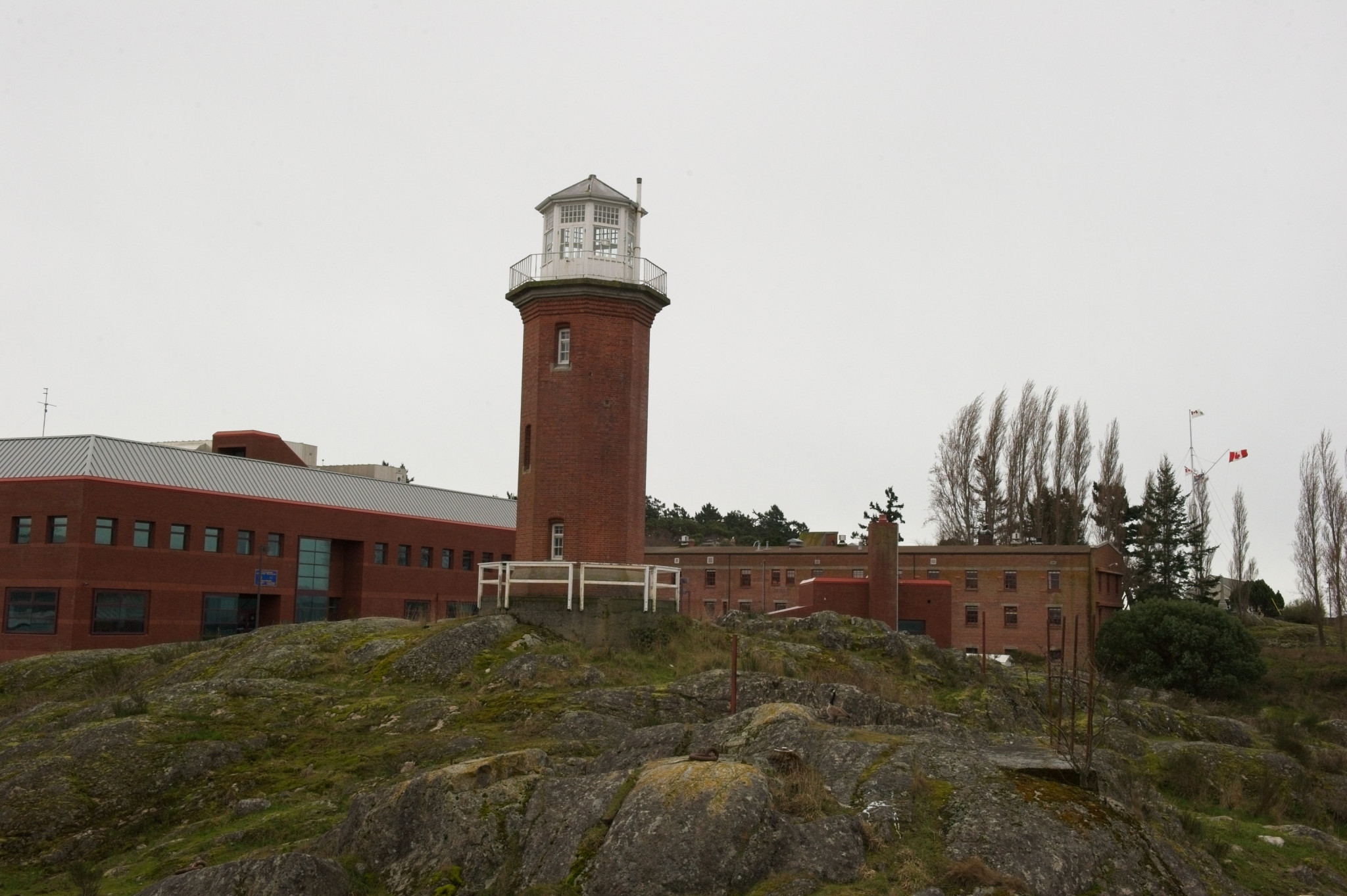20120314-DSC_7143.jpg
