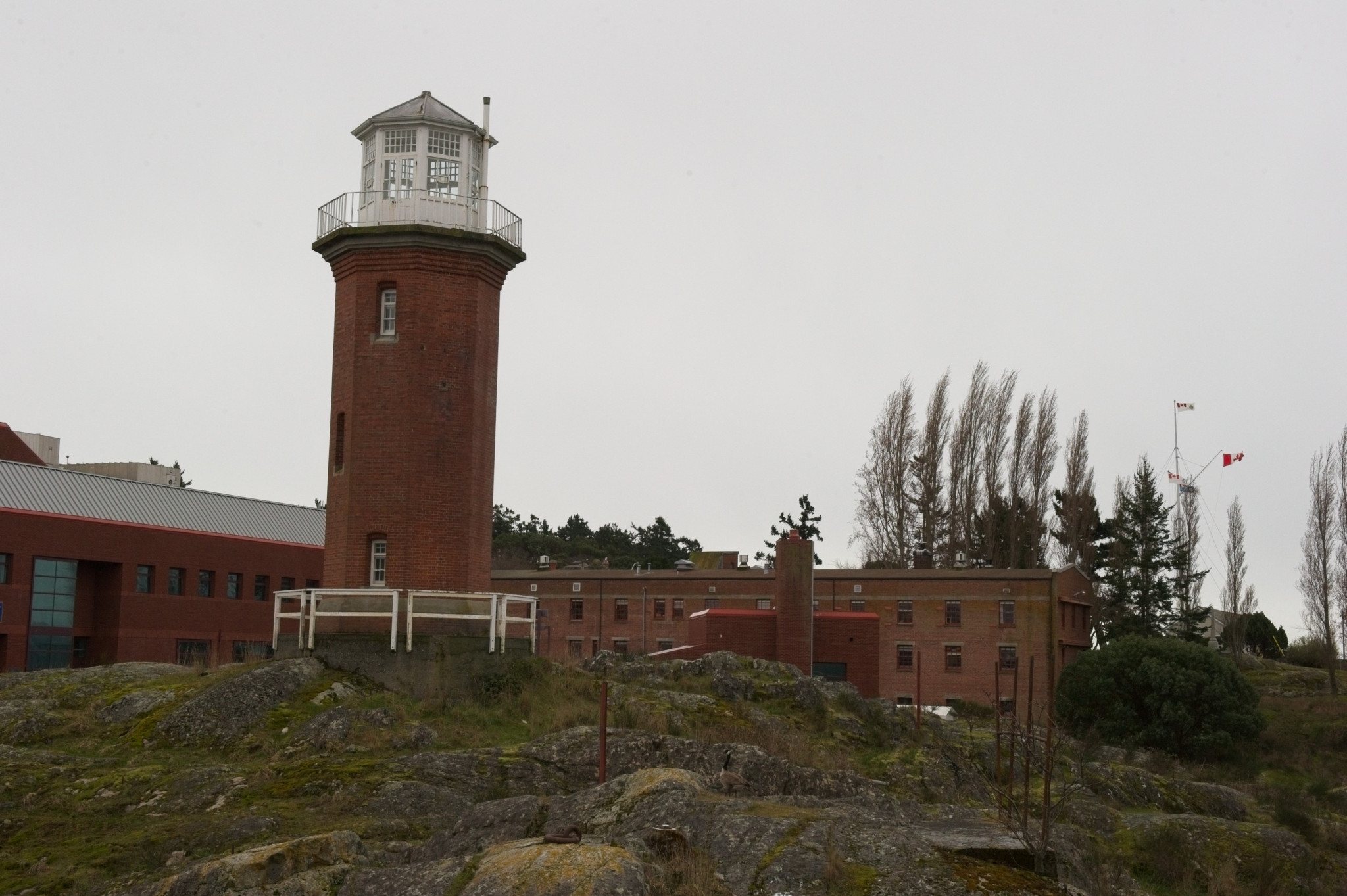 20120314-DSC_7144.jpg