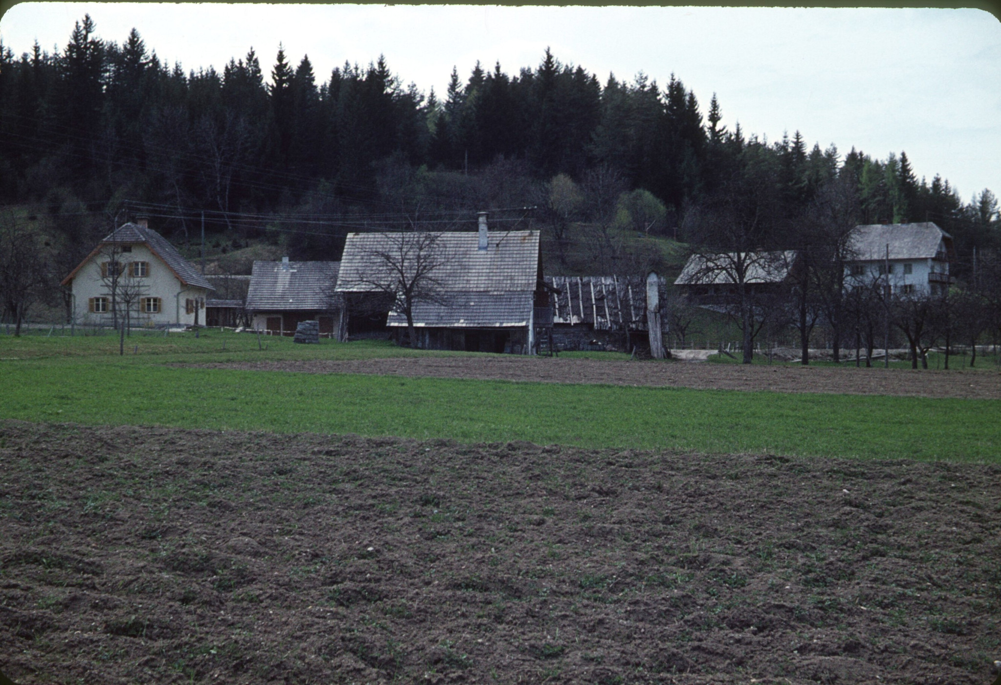 1964_05_F12_B00.jpg