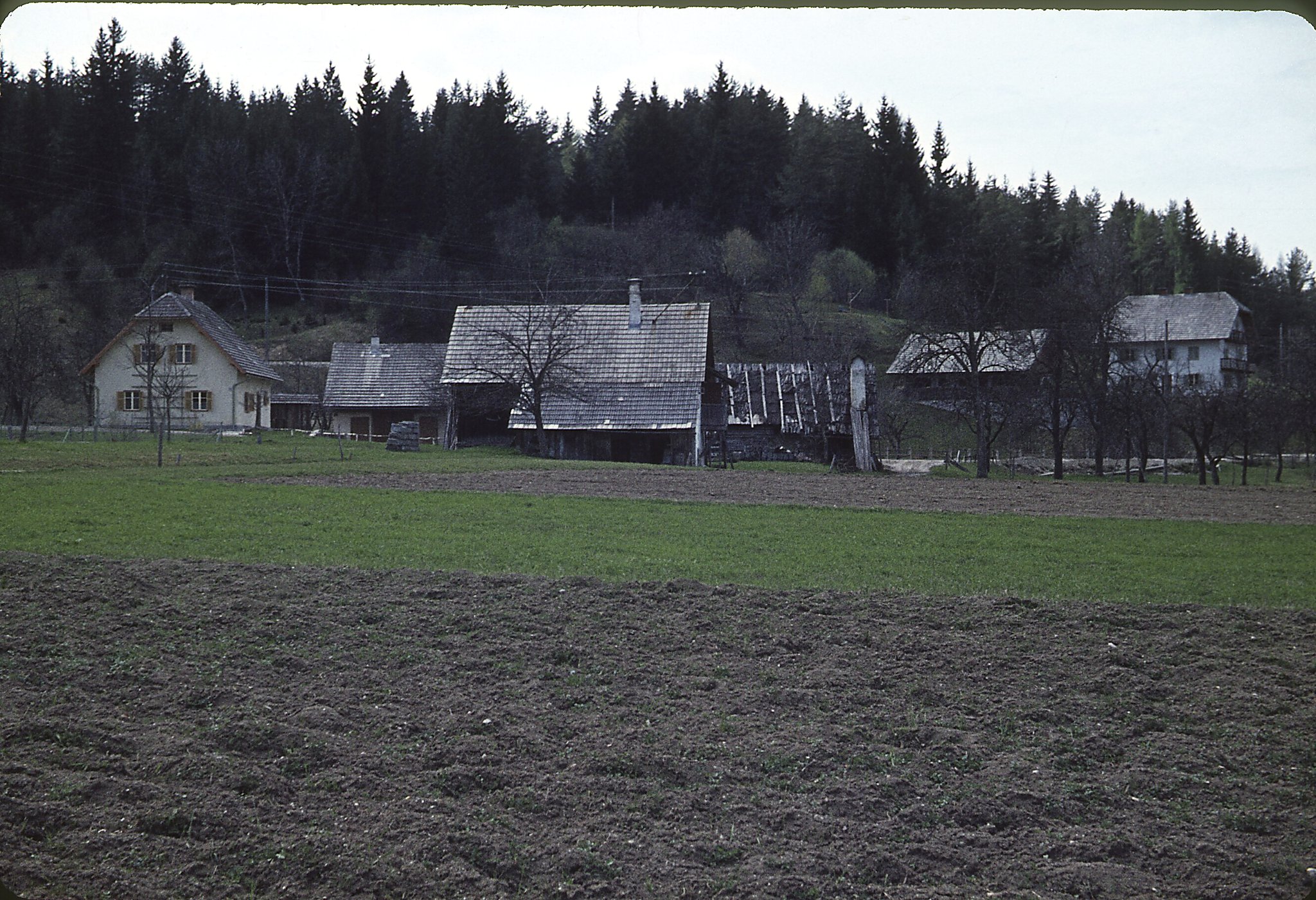1964_05_F12_B00_Export.jpg