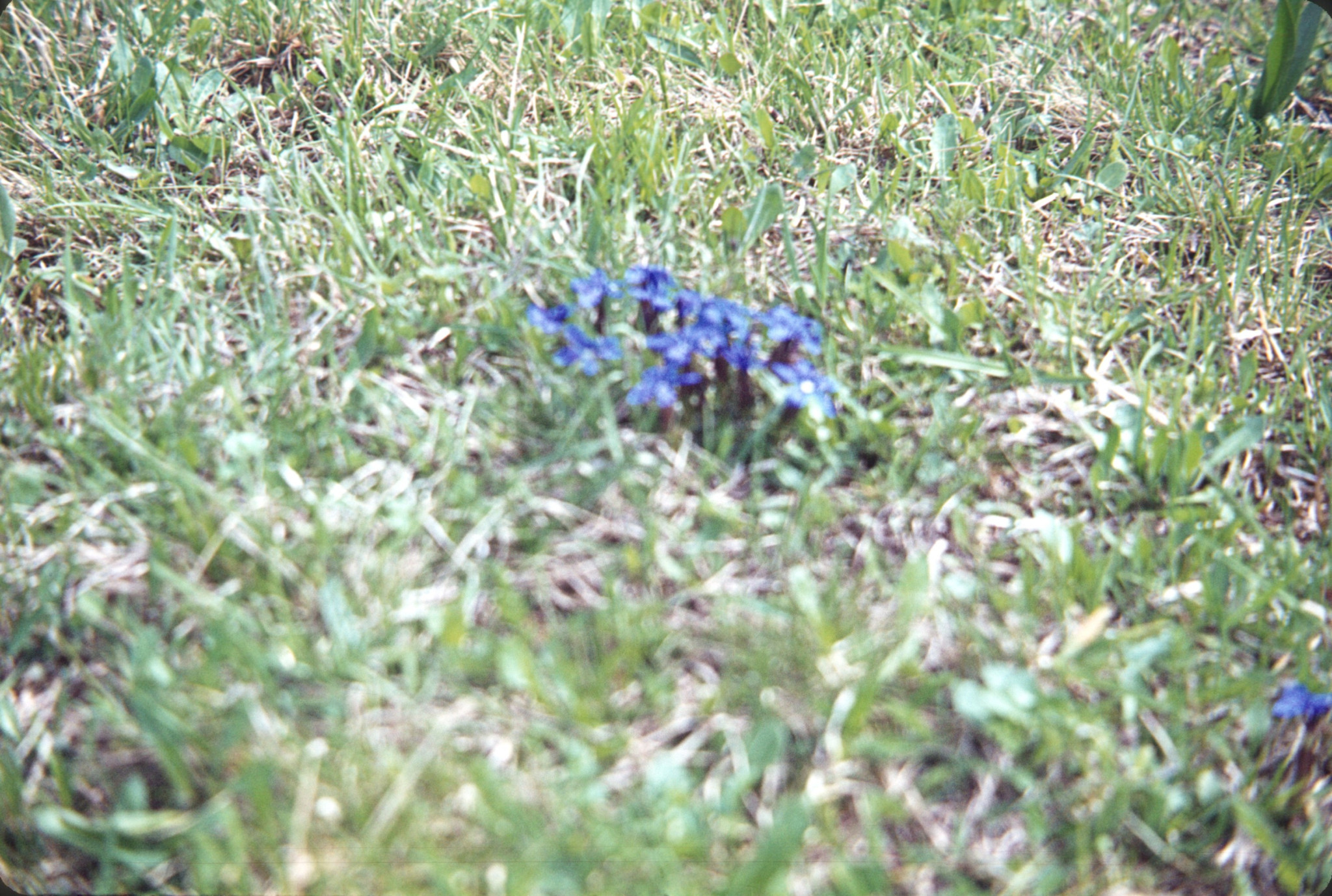 1964_05_F13_B00.jpg