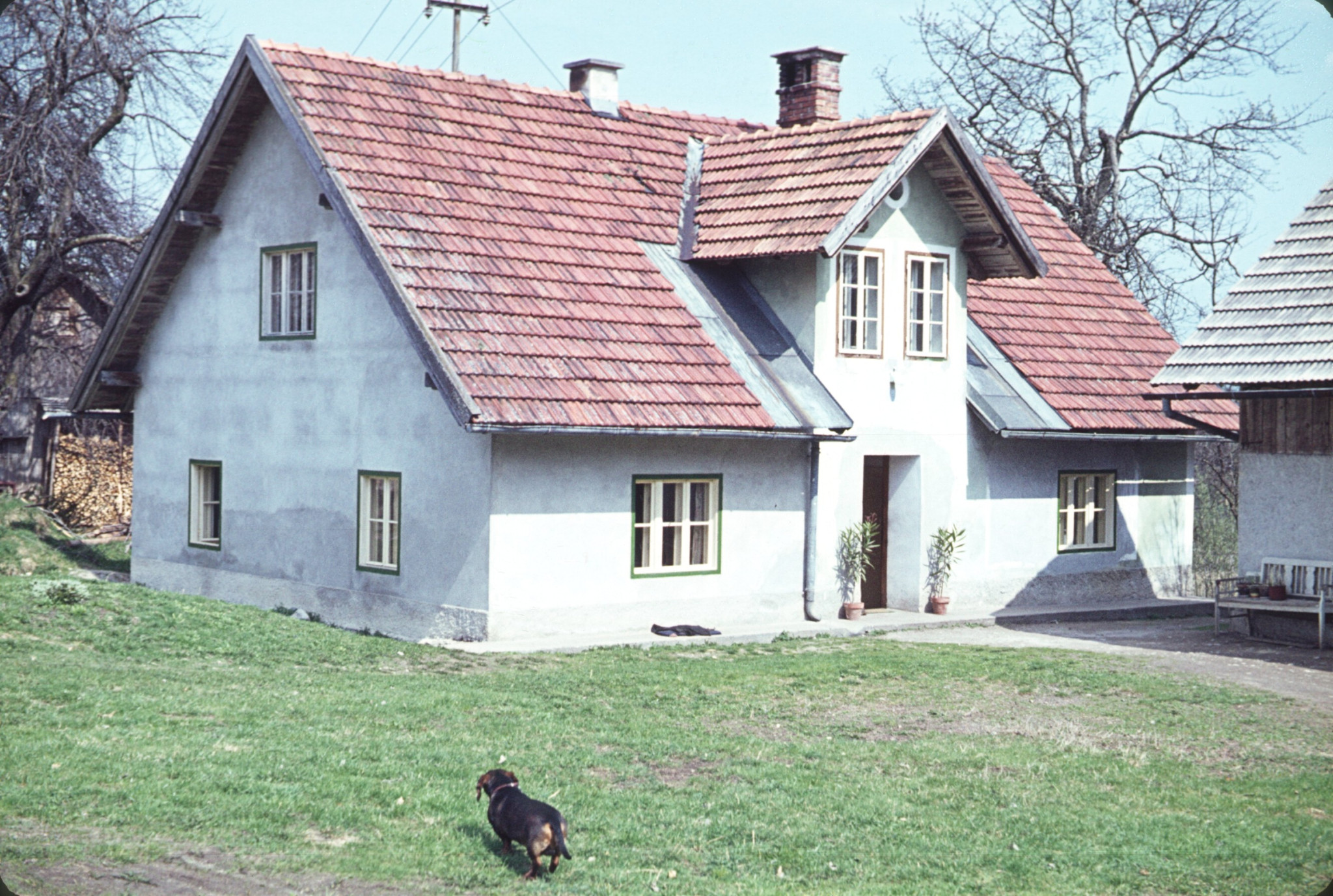 1964_05_F16_B00.jpg