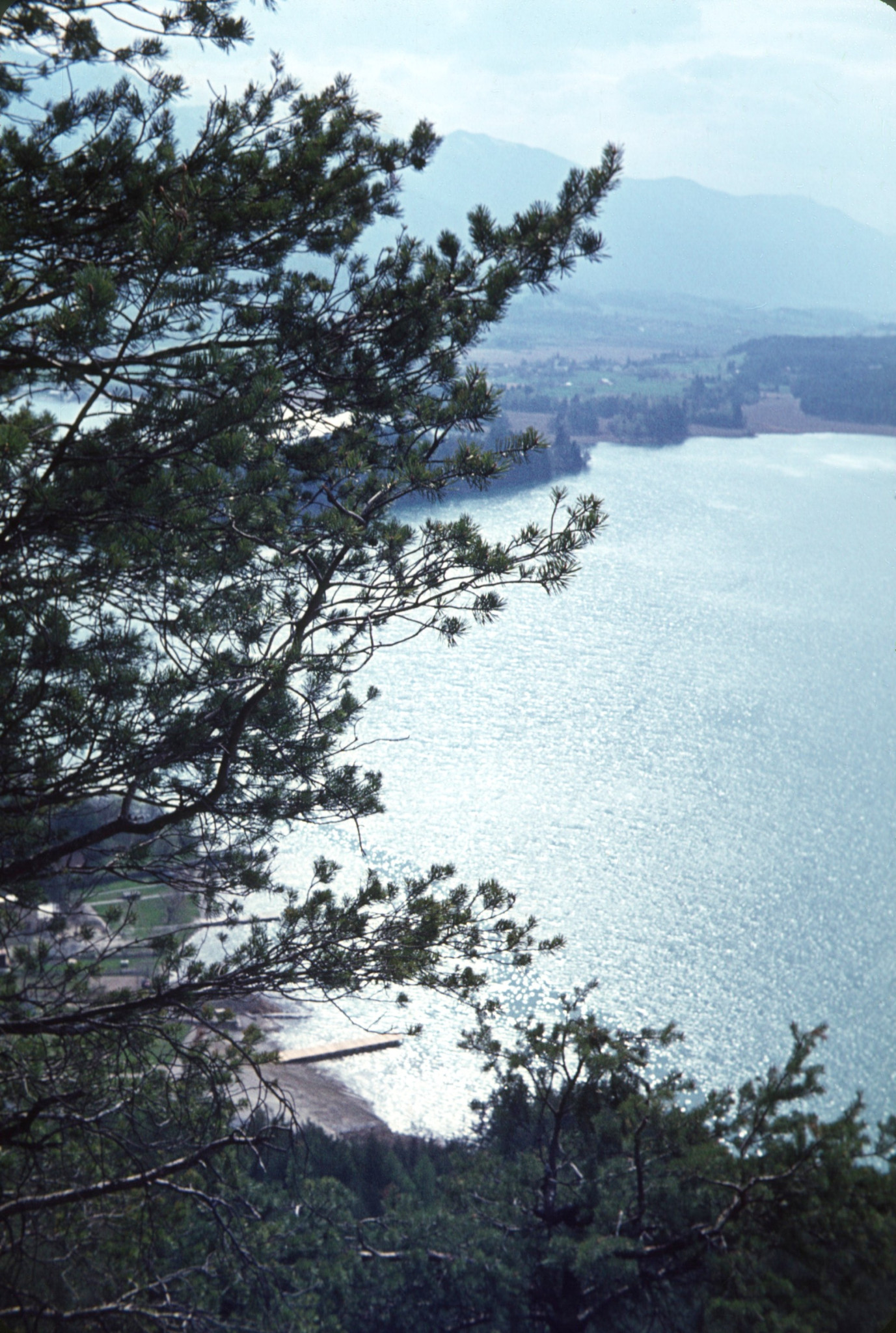 1964_05_F29_B00.jpg