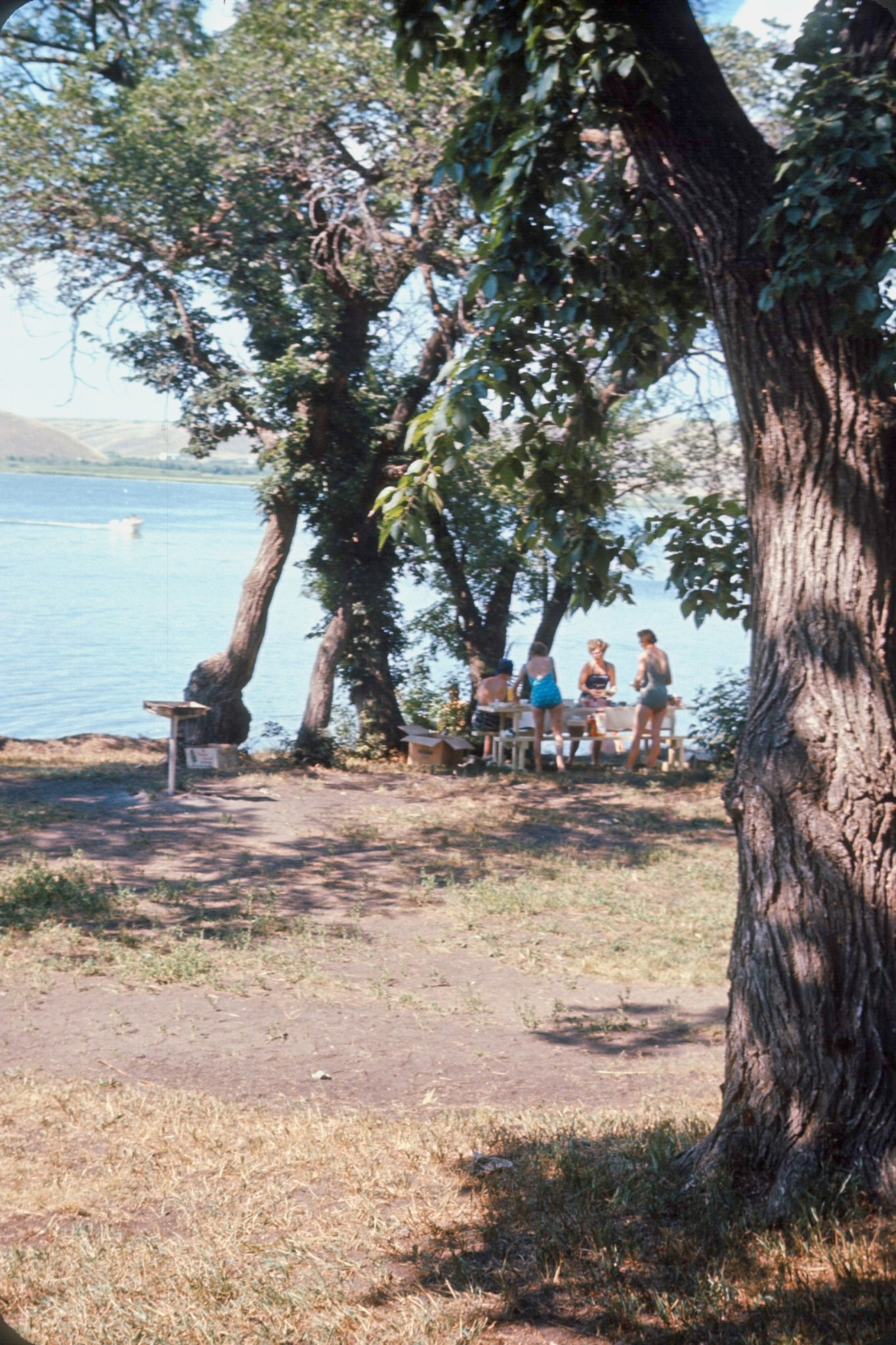 1964-07-King_Size-05.jpg