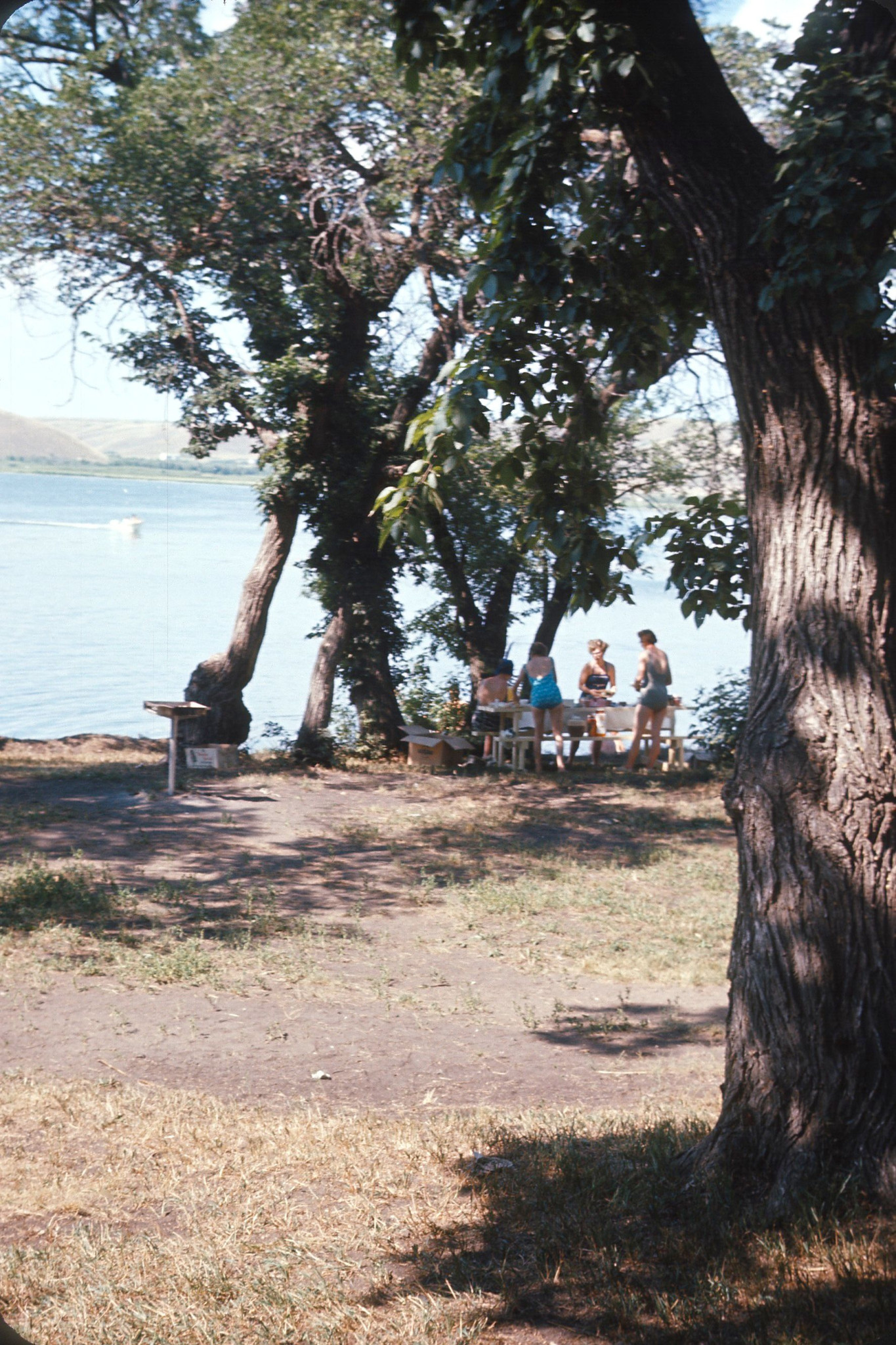 1964-07-King_Size-05_Export.jpg