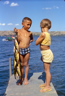 Summer 1964 Summer 1964