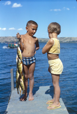 Summer 1964