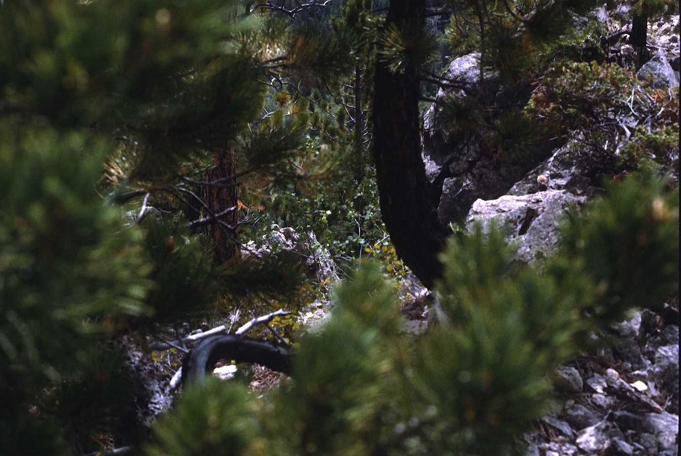 1977-09-R2-F28.jpg