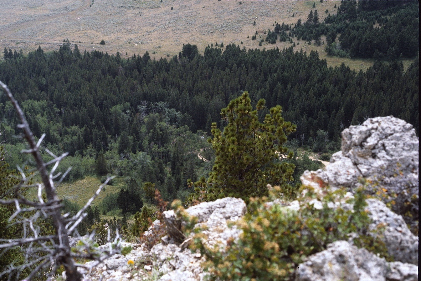 1977-09-R2-F29.jpg