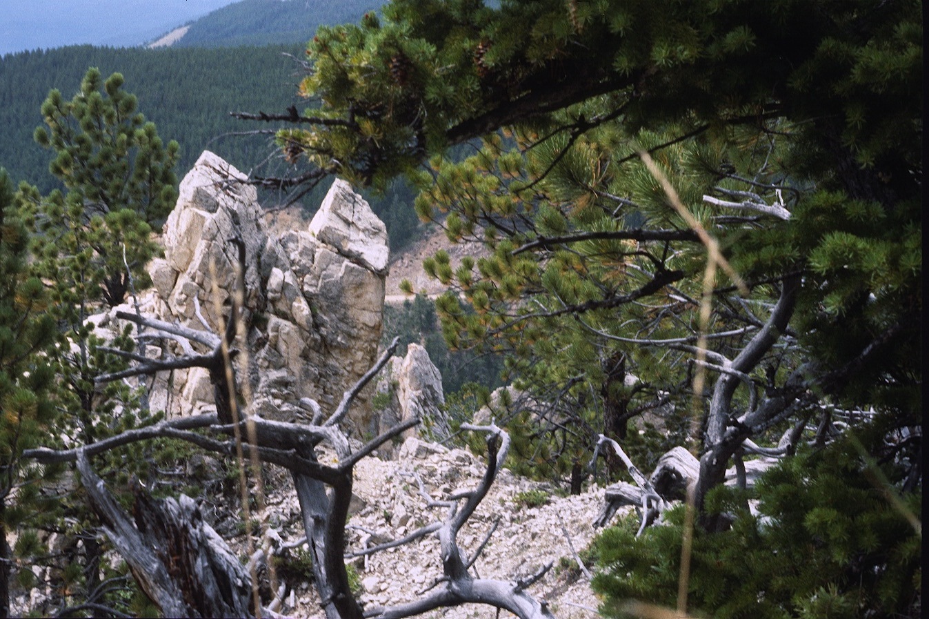 1977-09-R2-F32.jpg