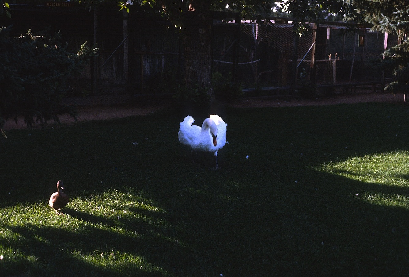 1977-09-R3-F14.jpg
