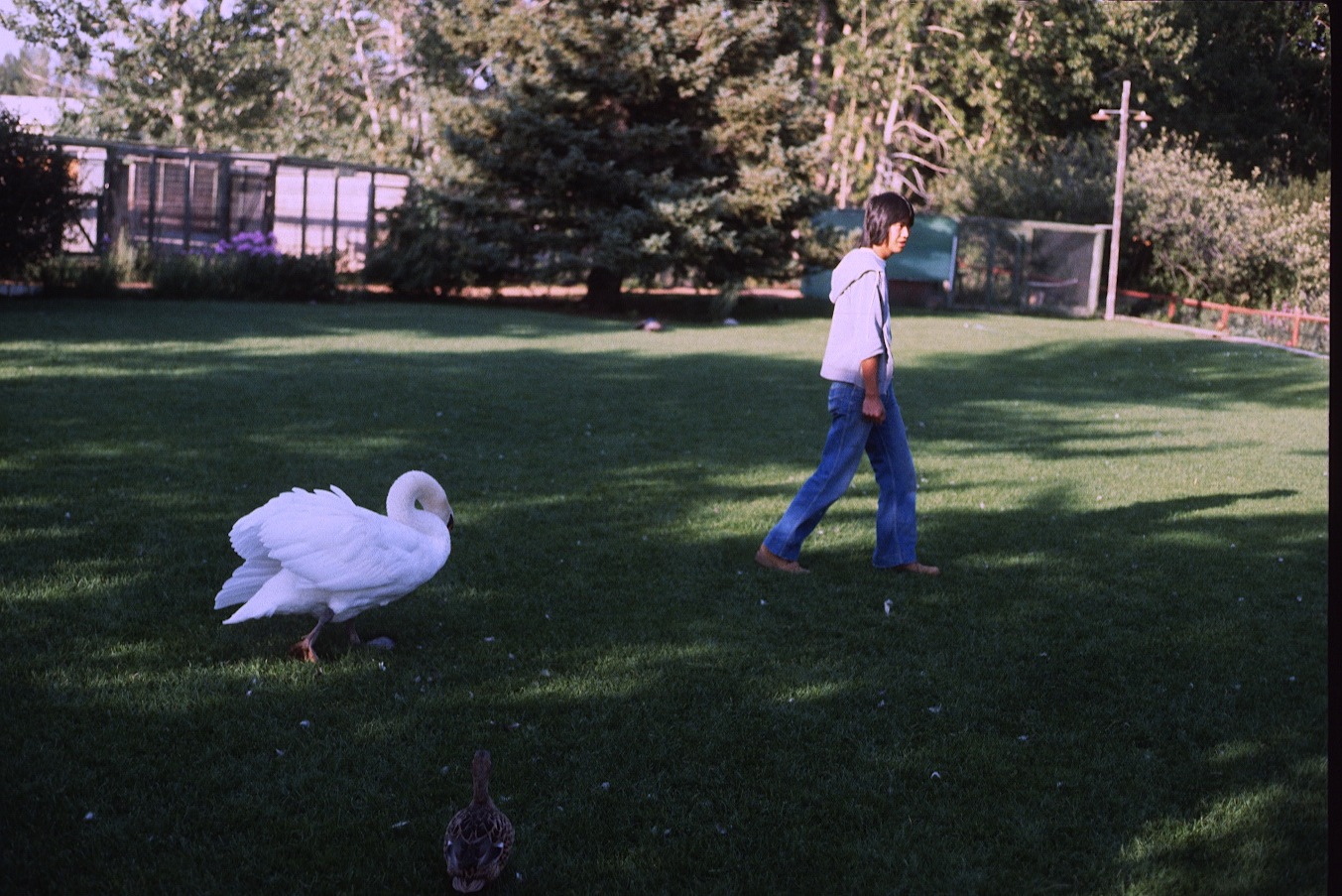 1977-09-R3-F15.jpg