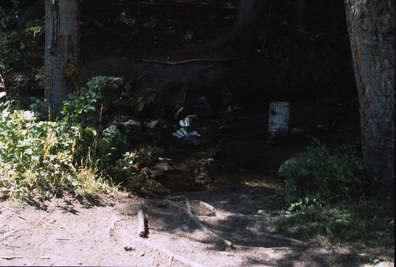 1977-09-R3-F18.jpg