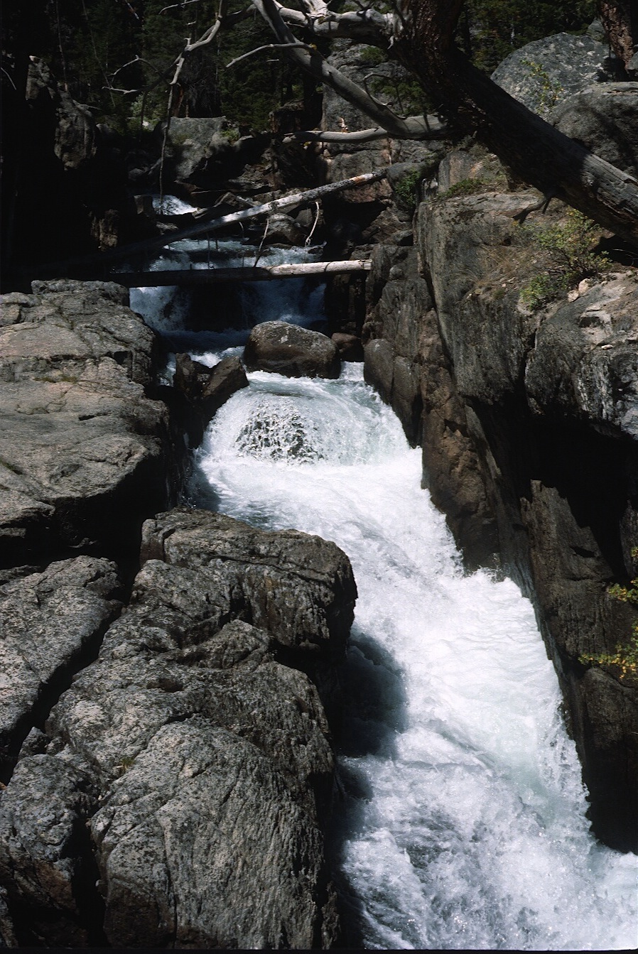 1977-09-R4-F17.jpg