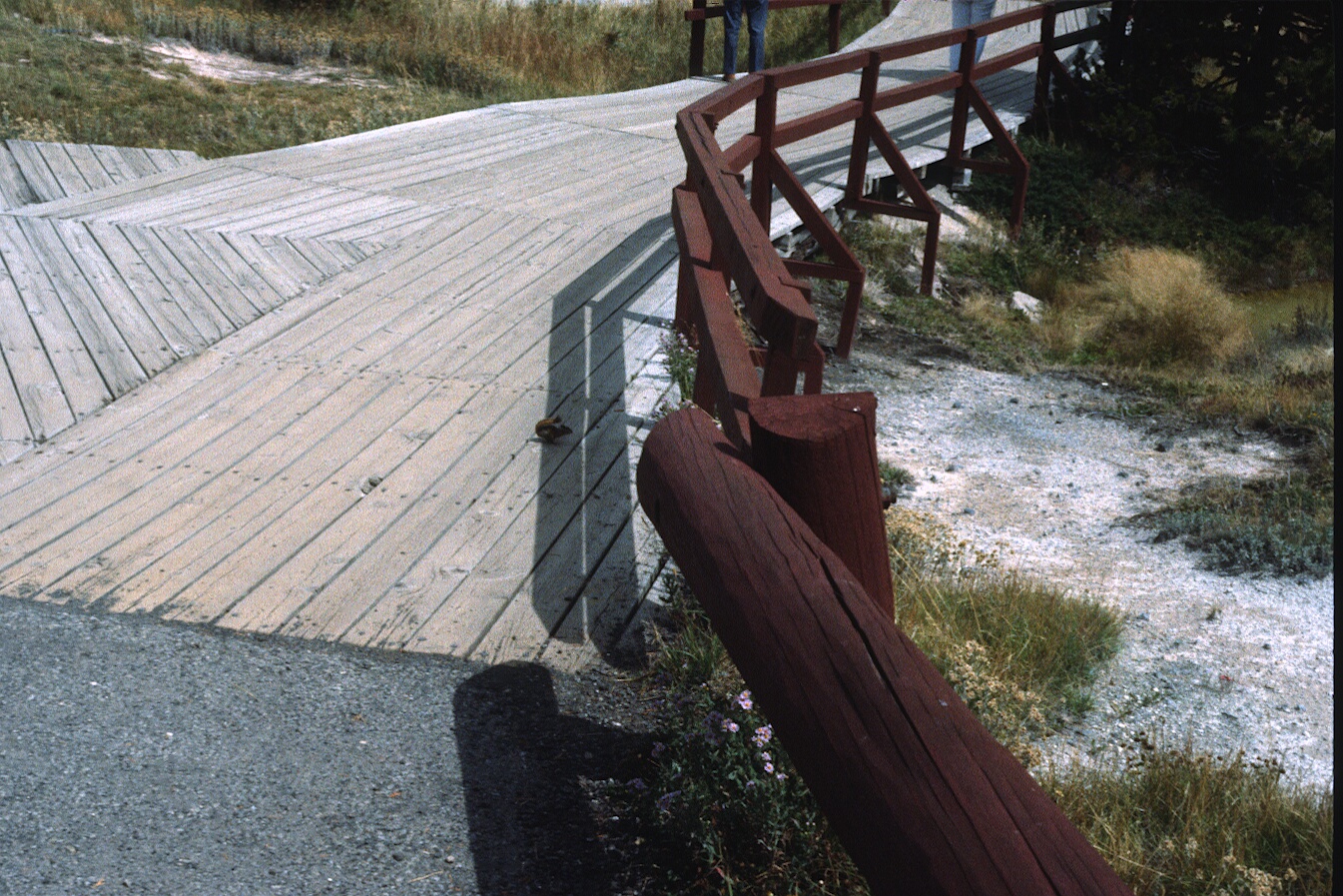 1977-09-R5-F13.jpg