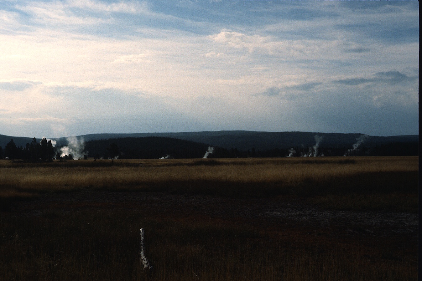 1977-09-R5-F4.jpg