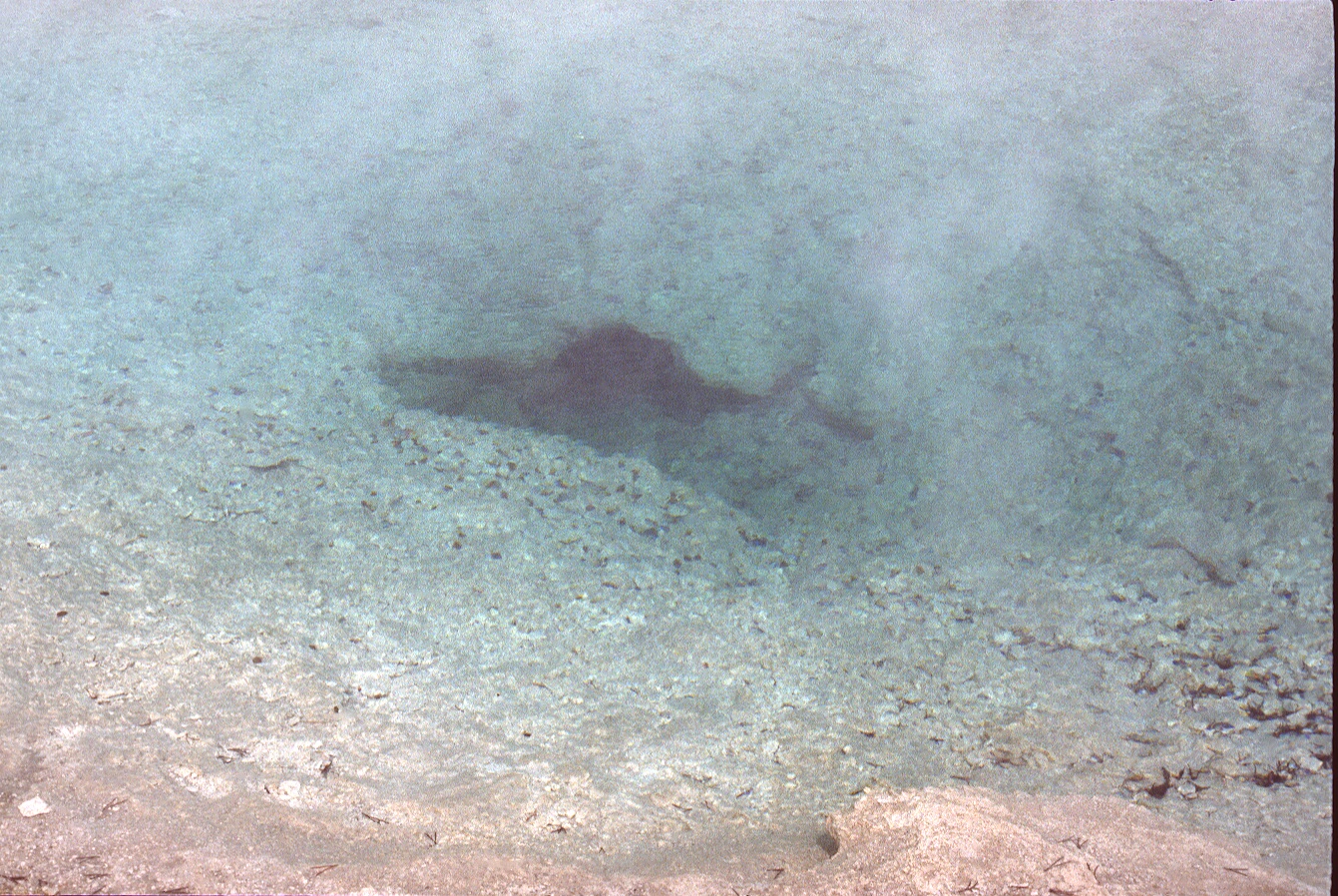 1977-09-R6-F17.jpg