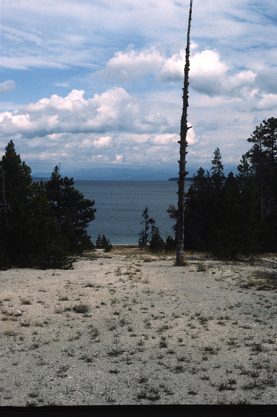 1977-09-R6-F18.jpg