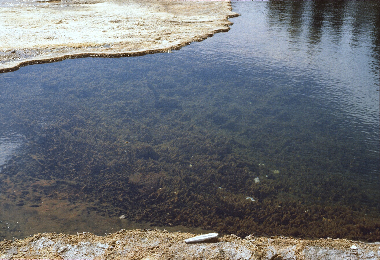1977-09-R6-F26.jpg