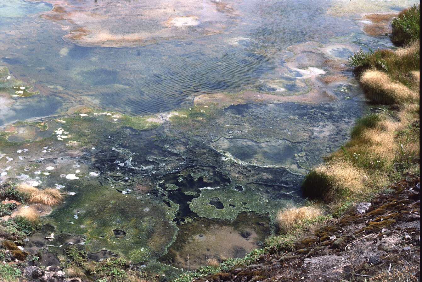 1977-09-R6-F33.jpg