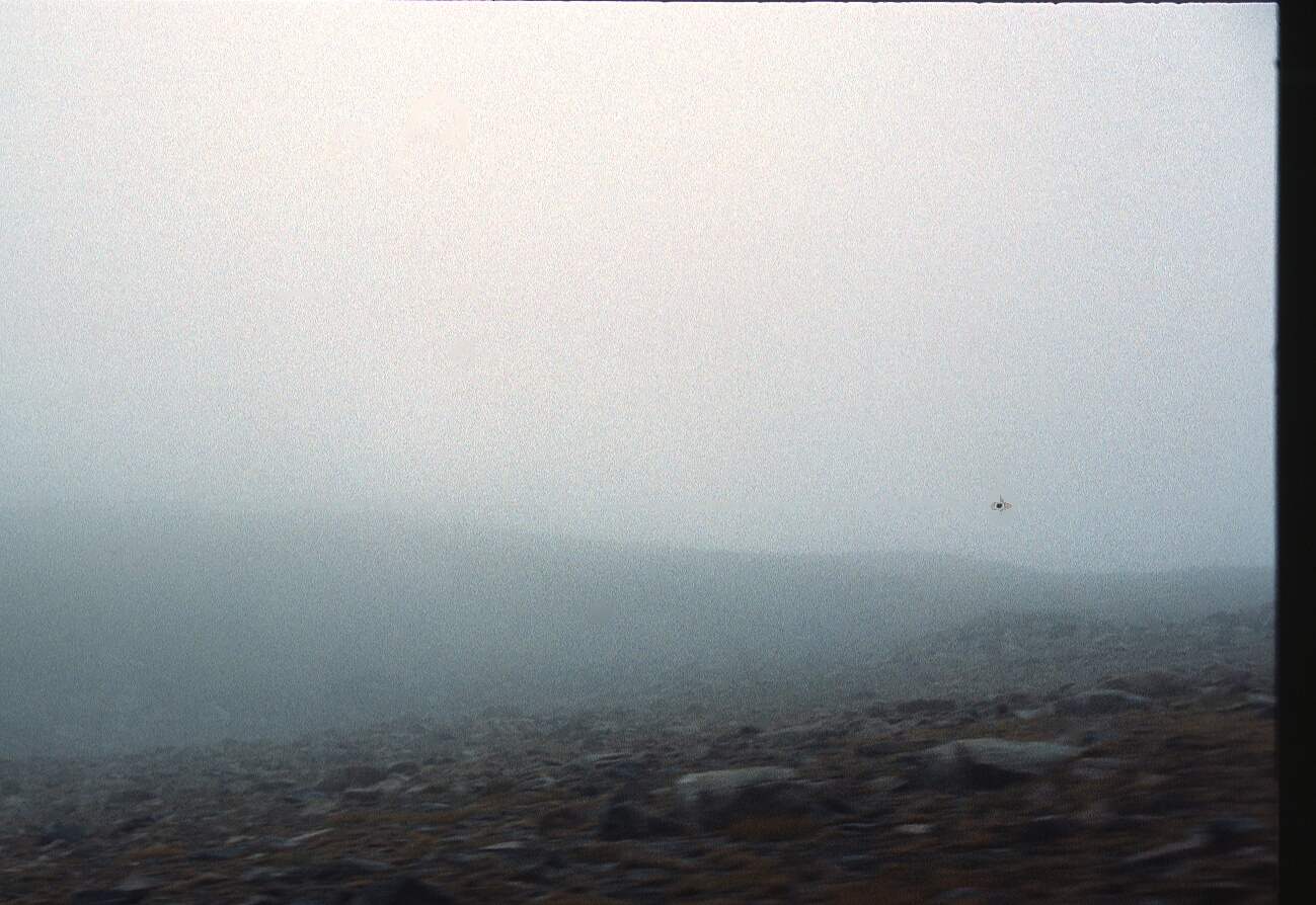 1977-09-R7-F14.jpg