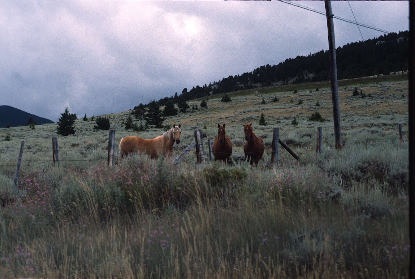1977-09-R7-F27.jpg