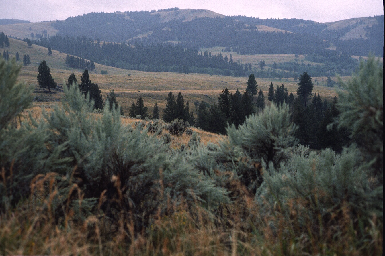 1977-09-R7-F8.jpg