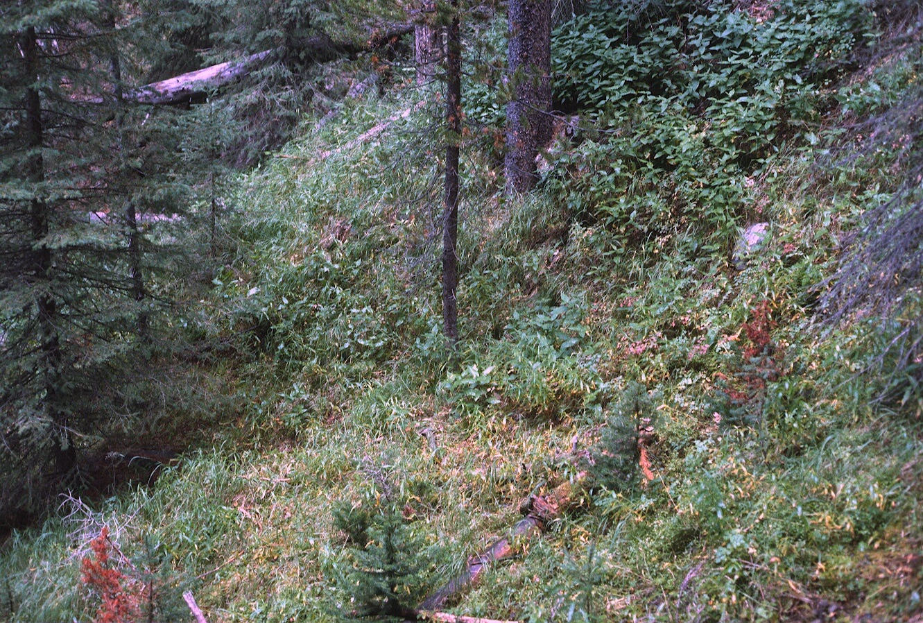 1977-09-R8-F19.jpg
