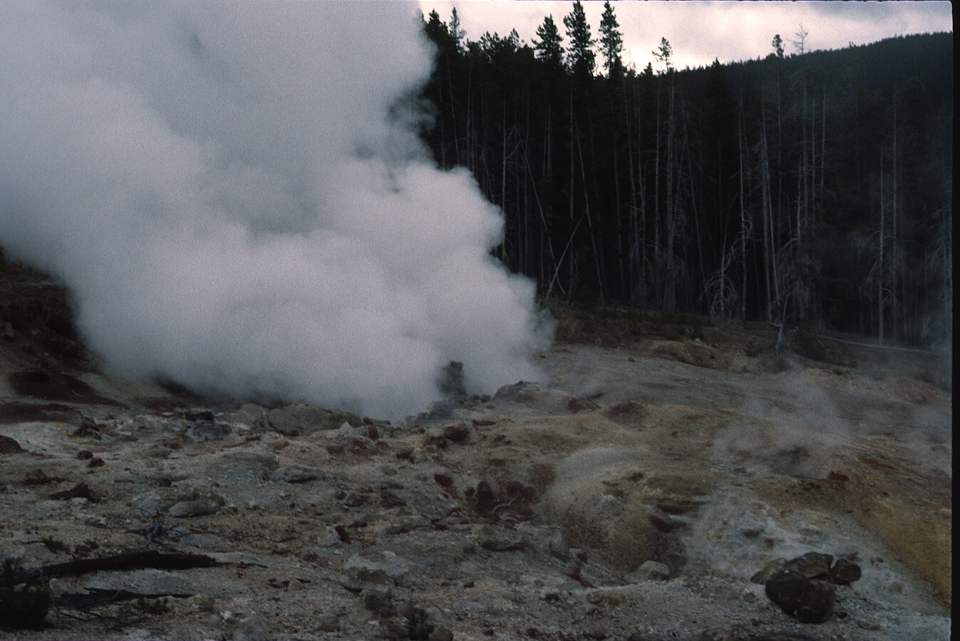 1977-09-R9-F22.jpg