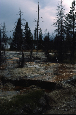 1977 - Yellowstone