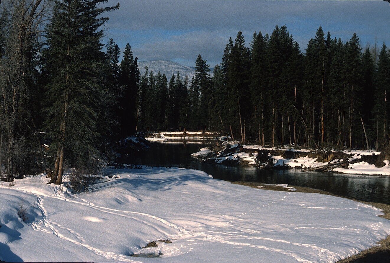 1978-03-R2-F03.jpg